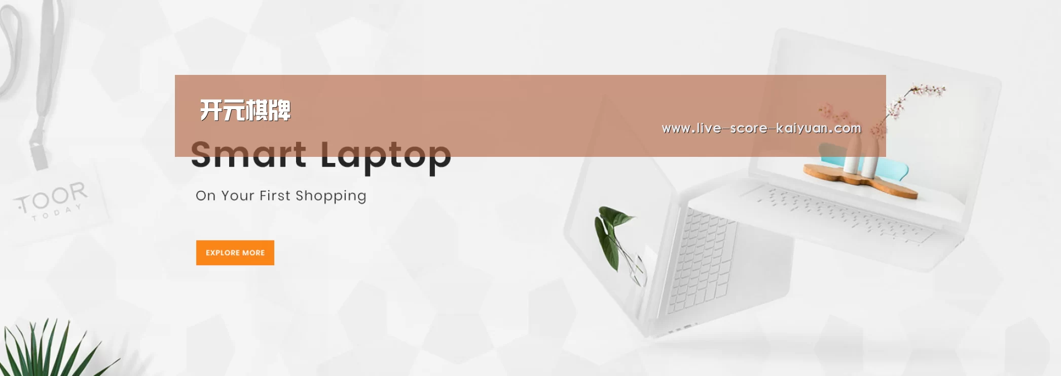某某网络科技有限公司